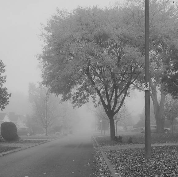 meet the posher - Picture 6 of 6